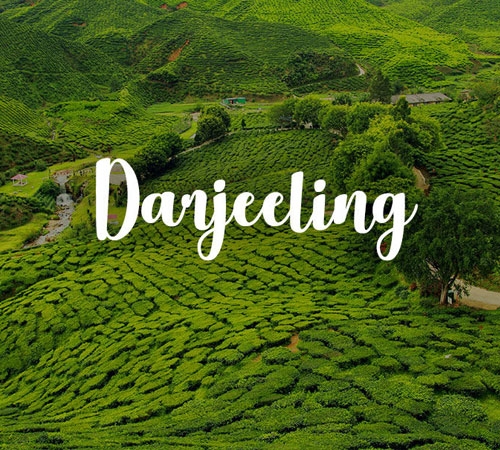 Delightful Darjeeling Tour